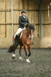 Isis Dressage Crown Farm Show 29th April 2012